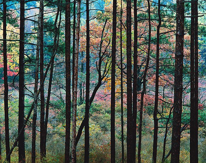 OCTOBER 24 1983 / 2:10 p.m., 1983 OCTOBER 24 1983 / 2:10 p.m., 1983