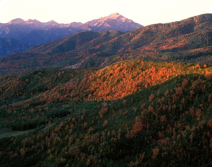 1551_sundance_678bit1400