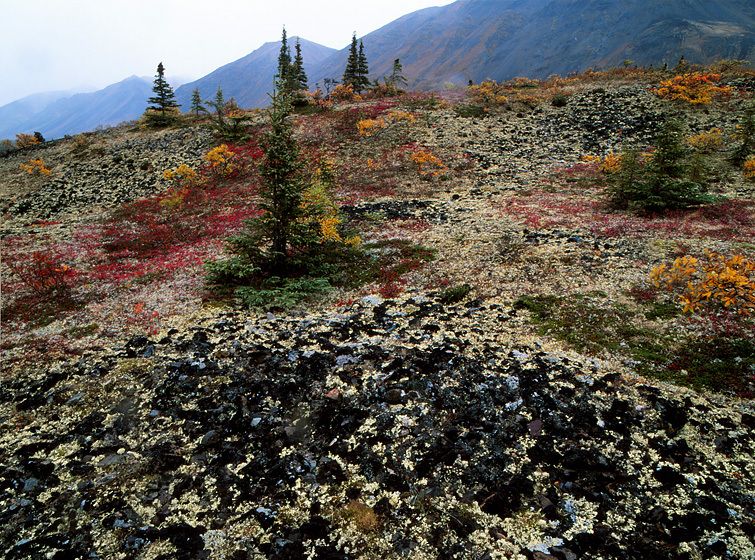 NO PEBBLE MINE #13, Pictures from Ground Zero: The Pebble Mine ore deposit is apparently part of an ancient volcano. Lava flows and volcanic debris have built much of the SW landscape. BENEATH THE POROUS STONE SURFACE, THE WATERS FLOW - sometimes literally THROUGH the rock layers. Many rivers and watersheds are "connected" in this way. Containing any spills from the 20-SQUARE-miles of cyanide slurry lagoons created by the Pebble Mine would be virtually impossible. LAKE CLARK NATIONAL PARK