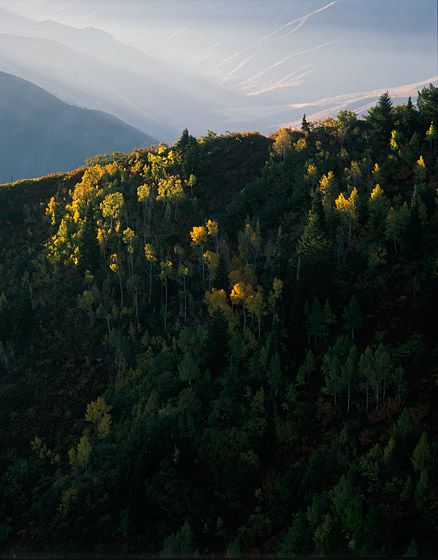 1237_sundance_678bit1400