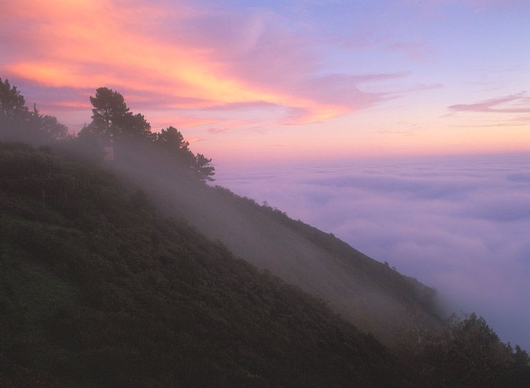 (UNTITLED)Photograph not currently available as print.  For commercial use and reproduction rights contact our studios at peace2rth@mac.com. (UNTITLED)