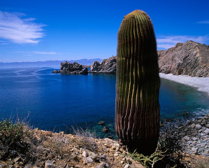 Photographs - Robert Glenn Ketchum