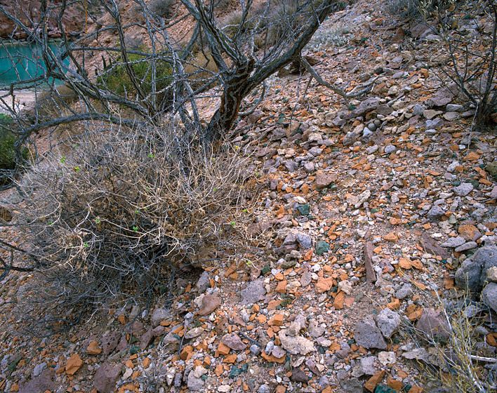 STONED (3)20” x 24”/$95024” x 30”/$1,50030” x 40”/$2,250The signed, limited edition of 27, includes all of the above sizes.  Print will be shipped directly to client's framer.7 prints are available at 48" x 65". Current price: $5,500. STONED (3)