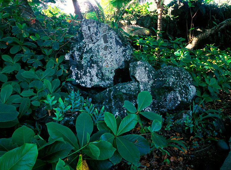 (UNTITLED)Photograph not currently available as print.  For commercial use and reproduction rights contact our studios at peace2rth@mac.com. (UNTITLED)