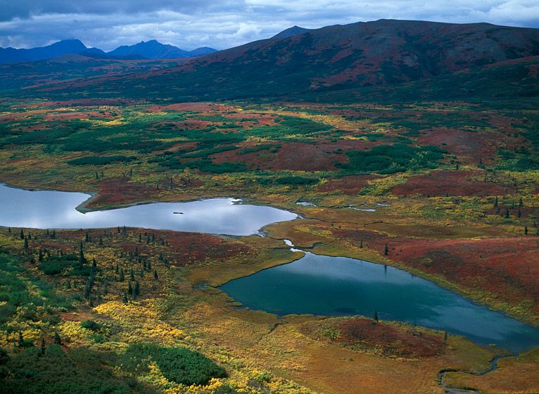 'Sunspots Across Tundra Hills', 199920” x 24” / $1,50024” x 30” / $2,25030” x 40” / $3,500The signed, limited edition of 33, includes all of the above sizes. Print will be shipped directly to client's framer.48" x 65" edition of 3Current price: $7,500 SUNSPOTS ACROSS TUNDRA HILLS, 1999