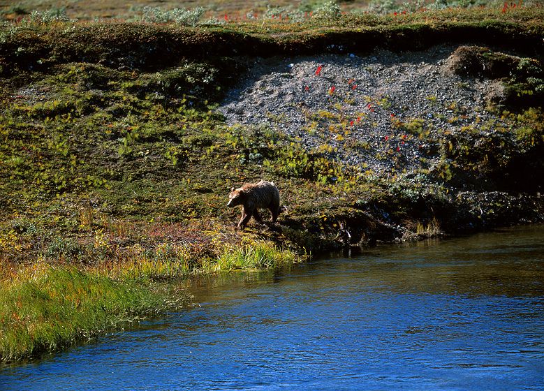 EVERYBODY WANTS TO FISH TALARIK CREEK
