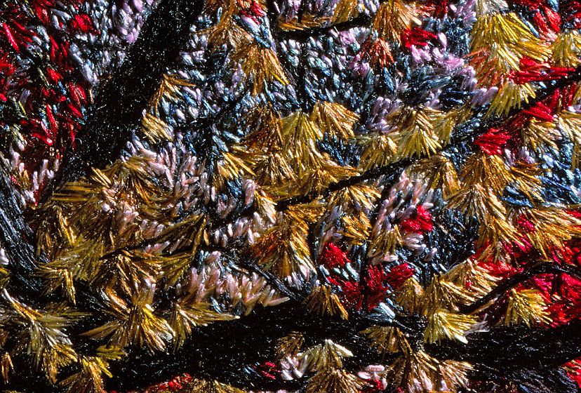 1_20_87suzcohas45_lb