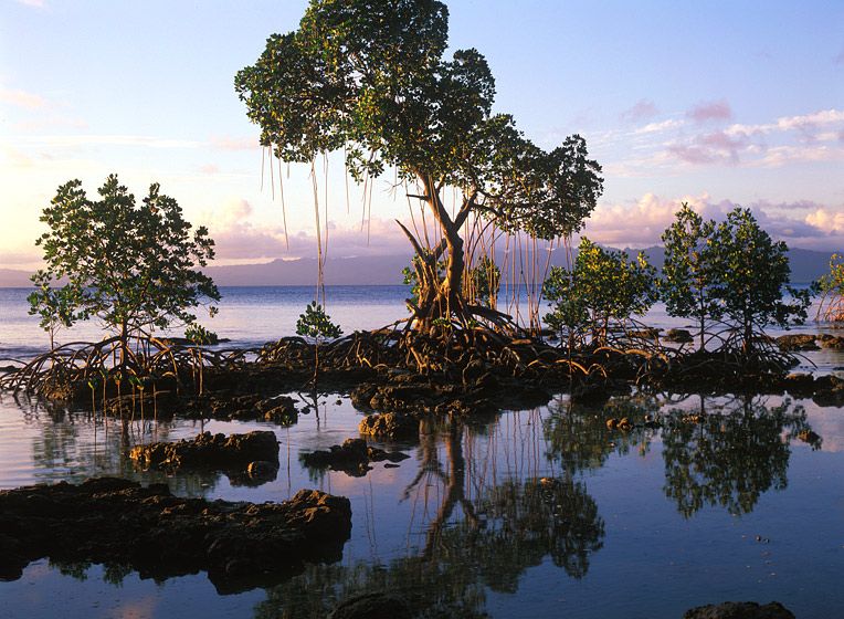 (UNTITLED)Photograph not currently available as print.  For commercial use and reproduction rights contact our studios at peace2rth@mac.com. (UNTITLED)