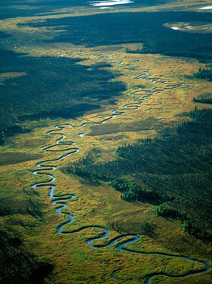 ENDLESS MEANDERS, 1998