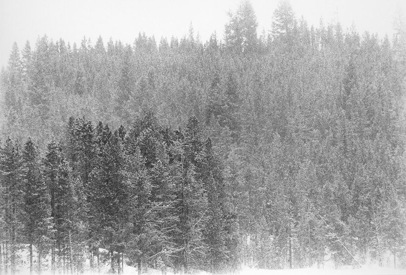 EDGE OF THE LAKE IN A HOWLING SPINDRIFT STORM, 1977All prints are VINTAGE silver gelatinmade prior to 1984 by my hand.5" x 8" print only availble in portfolio.WINTERS: 1970-1980 complete portfolio of 24-signed, limited edition prints boxed w/catalog: $65,000 (Only 2 complete portfolios are still available.) EDGE OF THE LAKE IN A HOWLING SPINDRIFT STORM, 1977