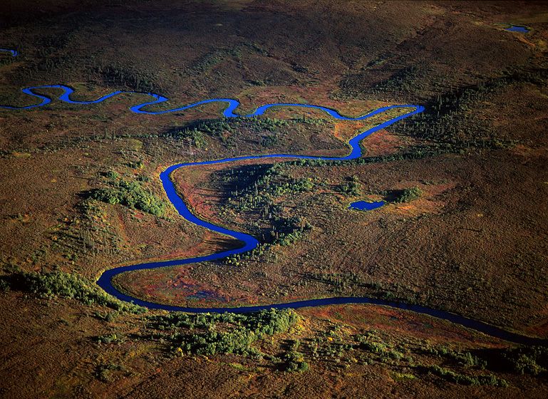 NO PEBBLE MINE #11, Pictures from Ground Zero: Oil still oozes from shoreline sand in Prince William Sound. Oil and other toxins saturate the Gulf Coast. Cyanide and acidic iron oxides should NEVER BE INTRODUCED into the Bristol Bay environment. Say NO TO THE PEBBLE MINE and keep the greatest wild salmon fishery in the world (also herring, halibut, etc.) a clean American food and job resource. Don't allow southwest Alaska to be trashed by international industrial development. A GOOD DAY FOR FLOATING