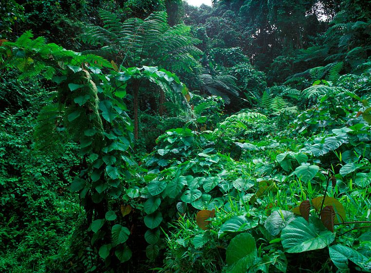 (UNTITLED)Photograph not currently available as print.  For commercial use and reproduction rights contact our studios at peace2rth@mac.com. (UNTITLED)