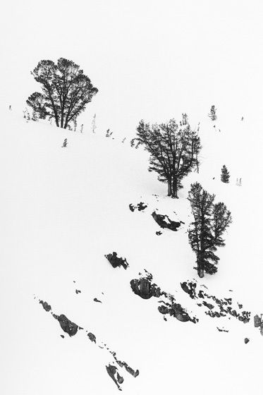 3 TREES, 1978All prints are VINTAGE silver gelatinmade prior to 1984 by my hand.5" x 8" print only availble in portfolio.WINTERS: 1970-1980 complete portfolio of 24-signed, limited edition prints boxed w/catalog: $65,000 (Only 2 complete portfolios are still available.) 3 TREES, 1978