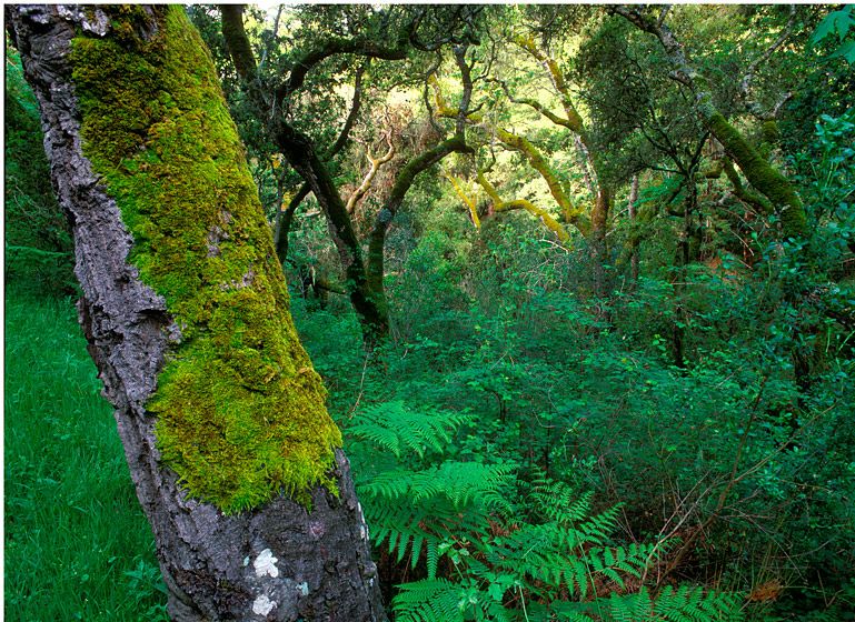 (UNTITLED)Photograph not currently available as print.  For commercial use and reproduction rights contact our studios at peace2rth@mac.com. (UNTITLED)