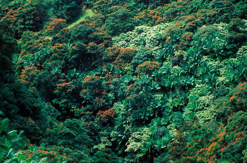 (UNTITLED)Photograph not currently available as print.  For commercial use and reproduction rights contact our studios at peace2rth@mac.com. (UNTITLED)