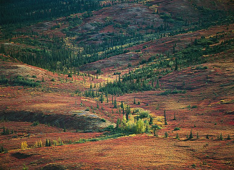 AFTERNOON LIGHT, 200620" x 24" / $1,50024" x 30" / $2,25030" x 40" / $3,500The signed, limited edition of 21, includes all of the above sizes. Print will be shipped directly to client's framer. AFTERNOON LIGHT, 2006