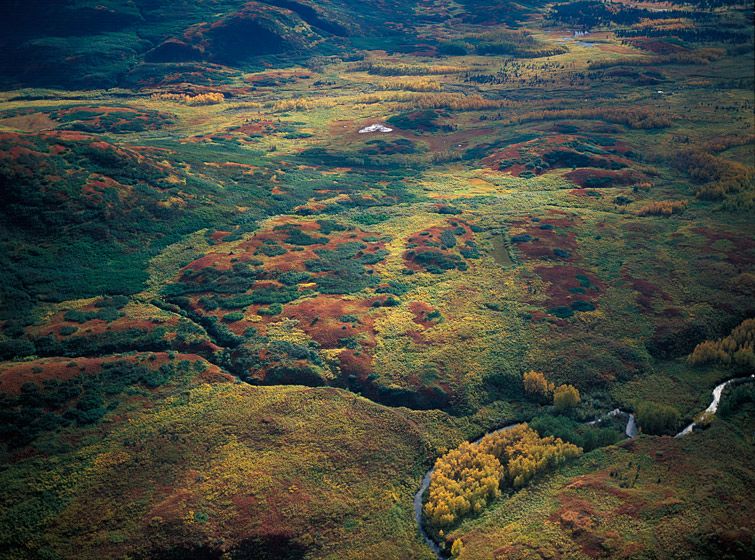 EVERYTHING HAS ITS PLACE, 2001