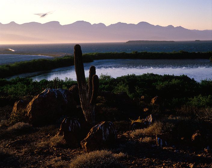 (UNTITLED)Photograph not currently available as print.  For commercial use and reproduction rights contact our studios at peace2rth@mac.com. (UNTITLED)