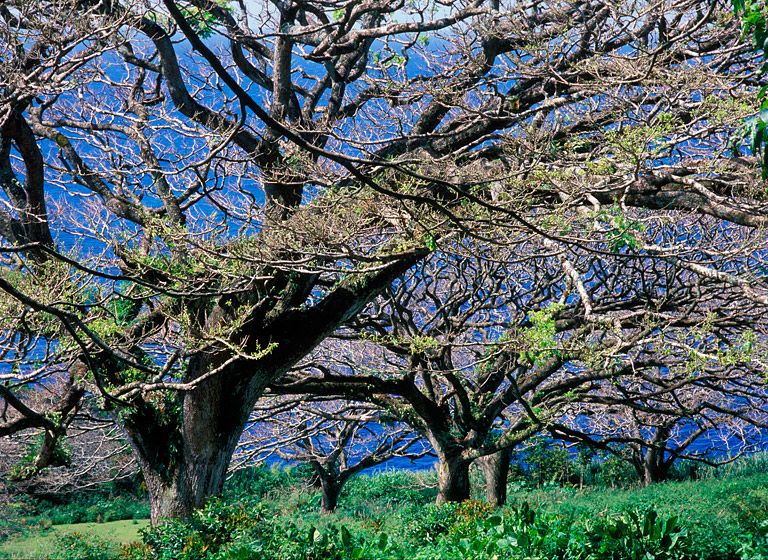 (UNTITLED)Photograph not currently available as print.  For commercial use and reproduction rights contact our studios at peace2rth@mac.com. (UNTITLED)