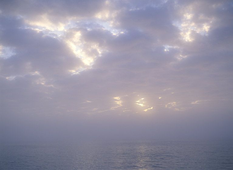 20" x 24" / $1,50024" x 30" / $2,25030" x 40" / $3,500The signed, limited edition of 33, includes all of the above sizes. Print will be shipped directly to client's framer. 184_nwp_645_4k_8b