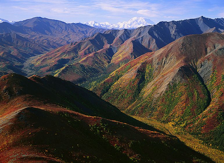 DENALI FROM THE FOOTHILLS OF THE OUTER RANGE, 2009