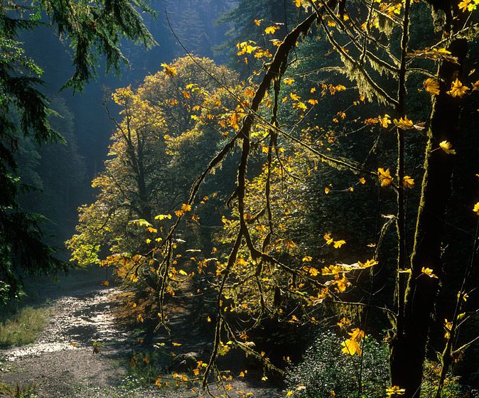 (UNTITLED)Photograph not currently available as print.  For commercial use and reproduction rights contact our studios at peace2rth@mac.com. (UNTITLED)