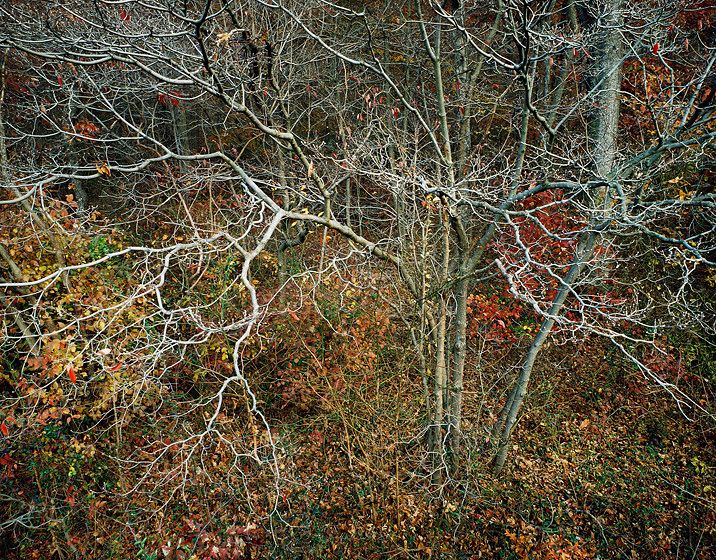 AND GRAVITY LETS YOU DOWN, 1981All prints are VINTAGE Cibachrome/Ilfochromemade prior to 1985 by Master Printer, Michael Wilder.ORDER FROM CHAOS, NEW WORK and NEW WORK, TOO a complete portfolio of 18-signed, limited edition prints w/catalog: $150,000 (Only 1 complete portfolio is still available.) AND GRAVITY LETS YOU DOWN, 1981