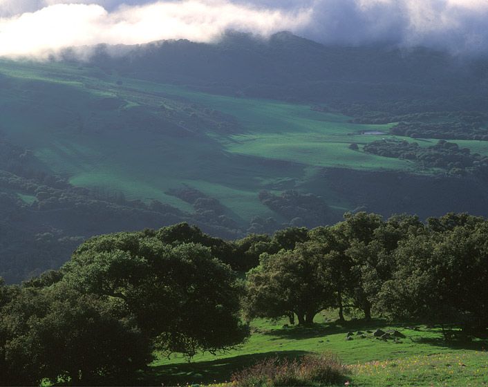 (UNTITLED)Photograph not currently available as print.  For commercial use and reproduction rights contact our studios at peace2rth@mac.com. (UNTITLED)