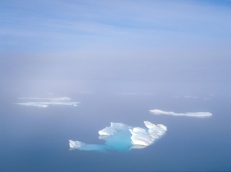 PRESENCE/PRESENTS, 199410" x 13" / $75016" x 20" / $1,00020” x 24” / $1,50024” x 30” / $2,25030” x 40” / $3,500The signed, limited edition of 15, includes all of the above sizes. Print will be shipped directly to client's framer.48" x 65"edition of 3Current price: $7,500 PRESENCE/PRESENTS, 1994