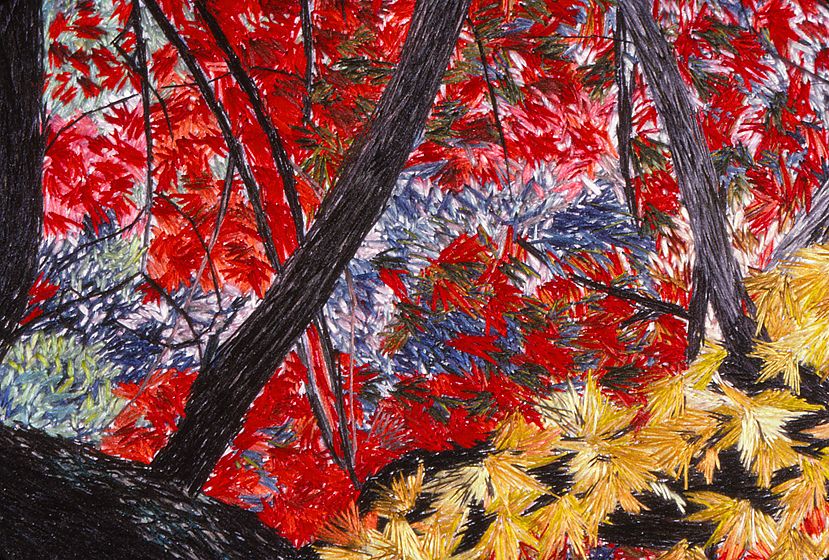 1_19_87suzcohas51_lb