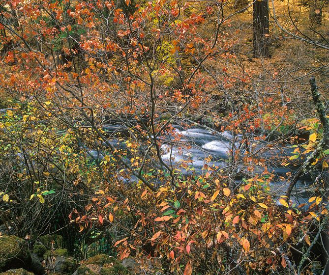 (UNTITLED)Photograph not currently available as print.  For commercial use and reproduction rights contact our studios at peace2rth@mac.com. (UNTITLED)