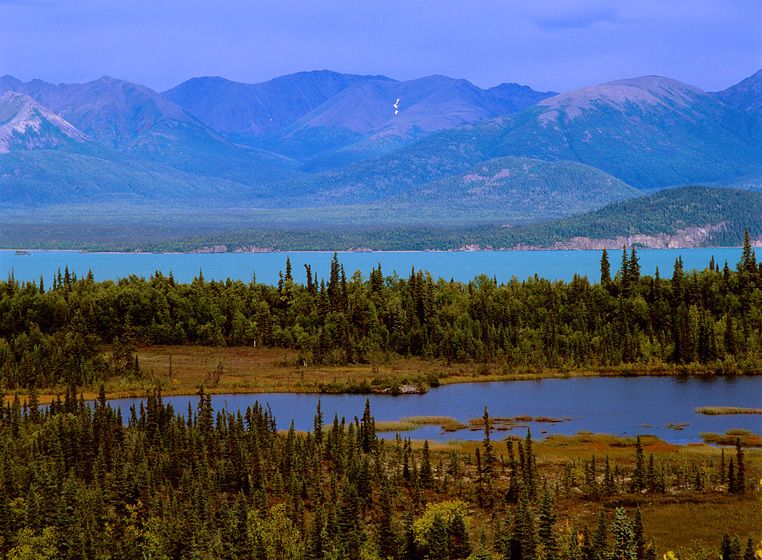 LAKE CLARK (background) NATIONAL PARK