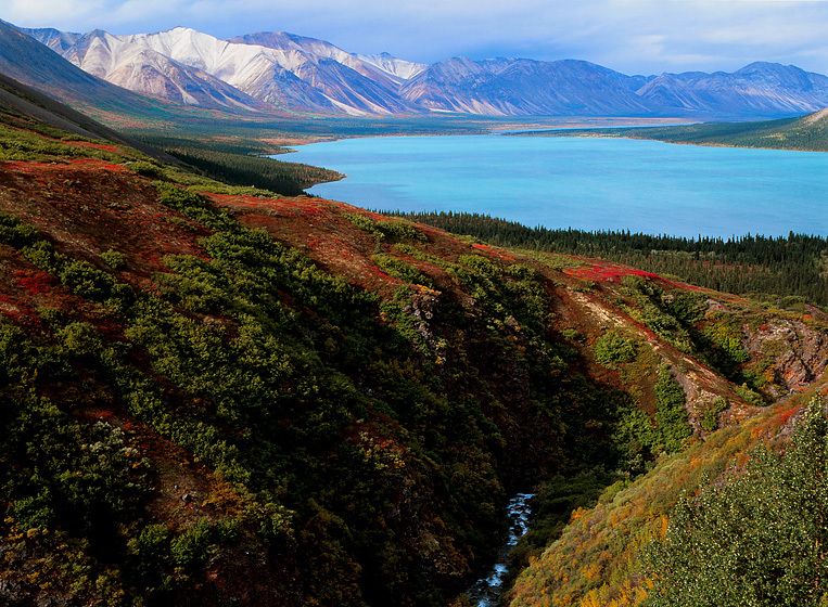 NO PEBBLE MINE #7, Pictures from Ground Zero: This is Twin Lakes in Lake Clark National Park. Beyond the distant mountains to the right, the proposed Pebble mine complex wld be belching industrial auto smog, AND a mercury-laden haze from coal-fired power generation. Their 20-SQUARE-MILE cyanide-slurry lagoon wld seem ocean-like from shore-to-shore. How can foreigncorporations be allowed do this to American resources? TWIN LAKES, LAKE CLARK NATIONAL PARK