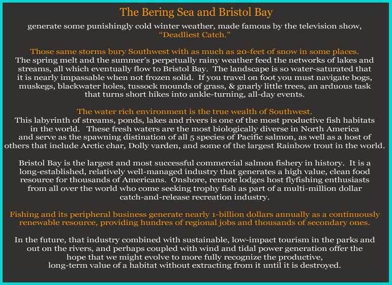 1r2Text_BeringSea