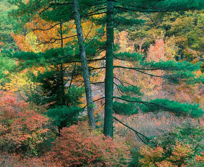 OCTOBER 25, 1983 / 3:45 p.m., 198320" x 24" / $1,50024" x 30" / $2,25030" x 40" / $3,500The signed, limited edition of 50, includes all of the above sizes. Print will be shipped directly to client's framer.48" x 65" edition of 3Current Price: $7,500 OCTOBER 25, 1983 / 3:45 p.m., 1983