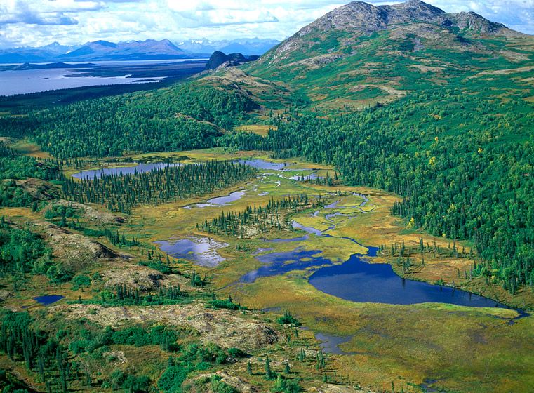 TIKCHICK MOUNTAIN, 1999