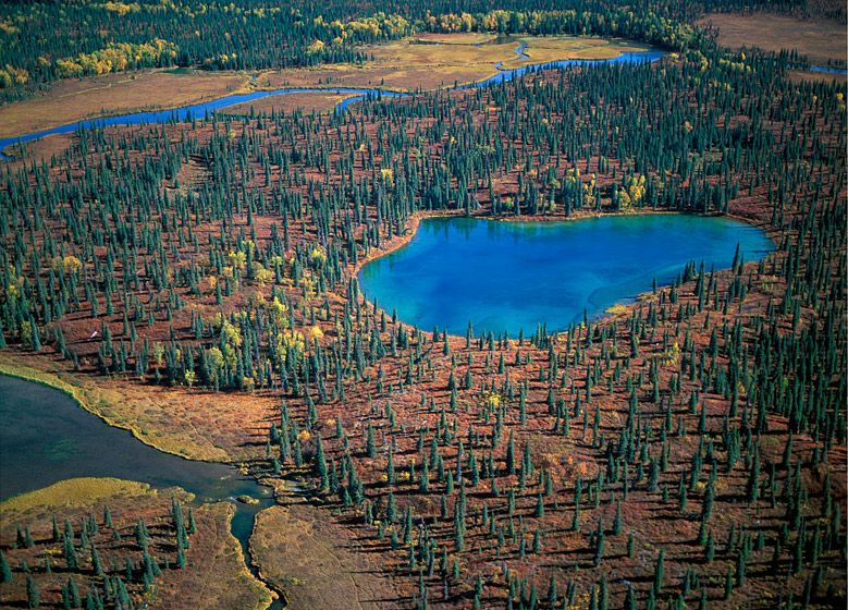 THE BLUE POOL, 2001  BUY THIS PRINT