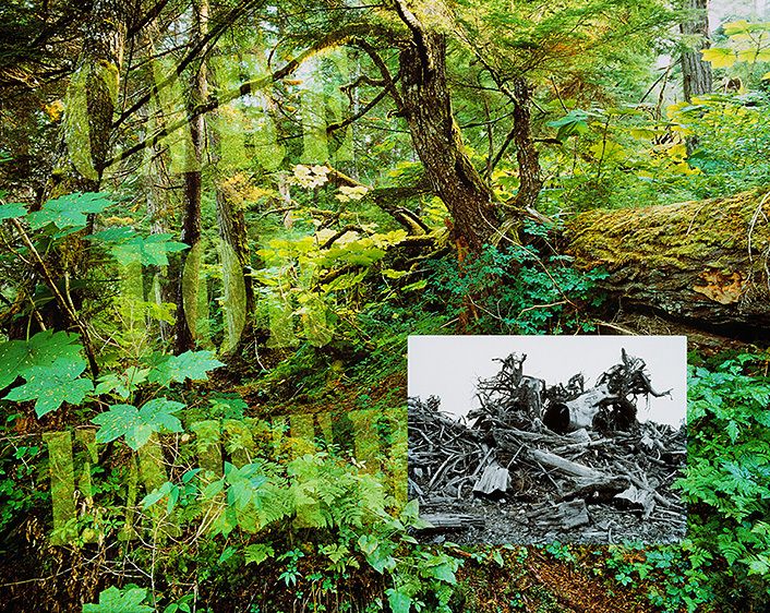 CARE FOR EARTH, 1991