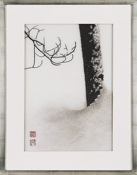TREE AND BRANCH IN DEEP SNOW, 1996  Buy This Embroidery