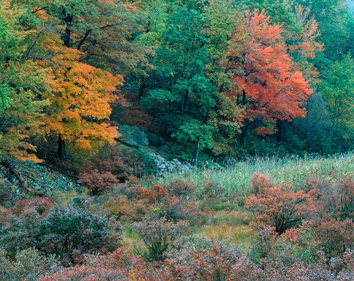 OCTOBER 24, 1983 / 3:30 p.m., 198320" x 24" / $1,50024" x 30" / $2,25030" x 40" / $3,500The signed, limited edition of 33, includes all of the above sizes. Print will be shipped directly to client's framer.48" x 65" edition of 2Current Price: $7,500The Hudson river is relatively flat, thus the ocean's tidal exchange goes upriver 70 miles to Albany. This unique intermixing of northern mountain origin, southern tidal mouth and tidal influences makes the Hudson one of the MOST BIOLOGICALLY DIVERSE ecosystems in North America, 2nd only to Smoky Mountain National Park. OCTOBER 24, 1983 / 3:30 p.m., 1983