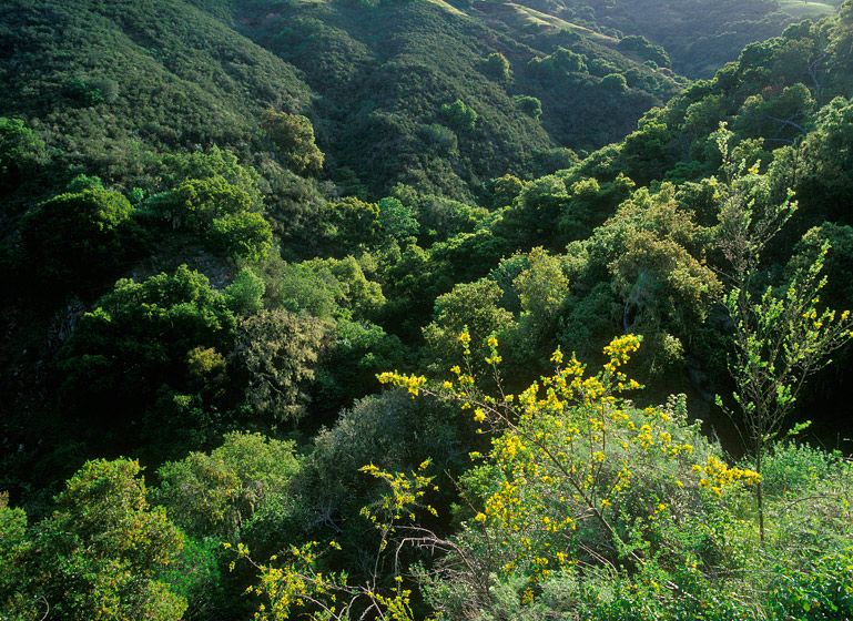 (UNTITLED)Photograph not currently available as print.  For commercial use and reproduction rights contact our studios at peace2rth@mac.com. (UNTITLED)