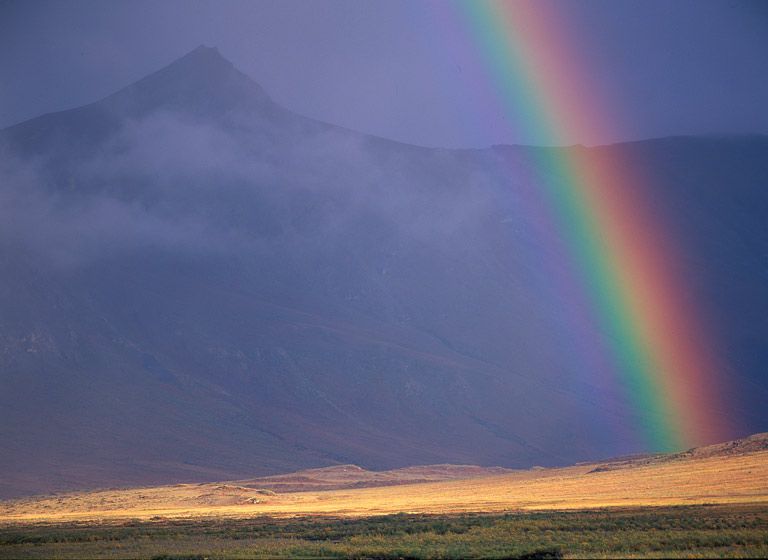 (UNTITLED)Photograph not currently available as print. For commercial use and reproduction rights contact our studios at peace2rth@mac.com. (UNTITLED)