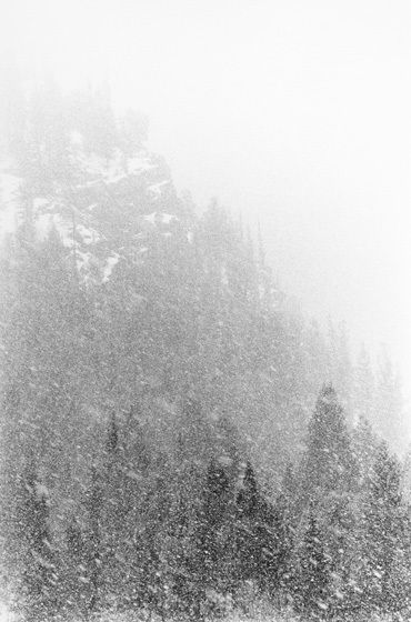 HARD, DRIVEN SNOW, 1979All prints are VINTAGE silver gelatinmade prior to 1984 by my hand.1 - 5" x 8" signed as an Artist's Proof (A.P.): $5,000This image is mounted on a portfolio page.5" x 8" print only availble in portfolio.WINTERS: 1970-1980 complete portfolio of 24-signed, limited edition prints boxed w/catalog: $65,000 (Only 2 complete portfolios are still available.) HARD, DRIVEN SNOW, 1979