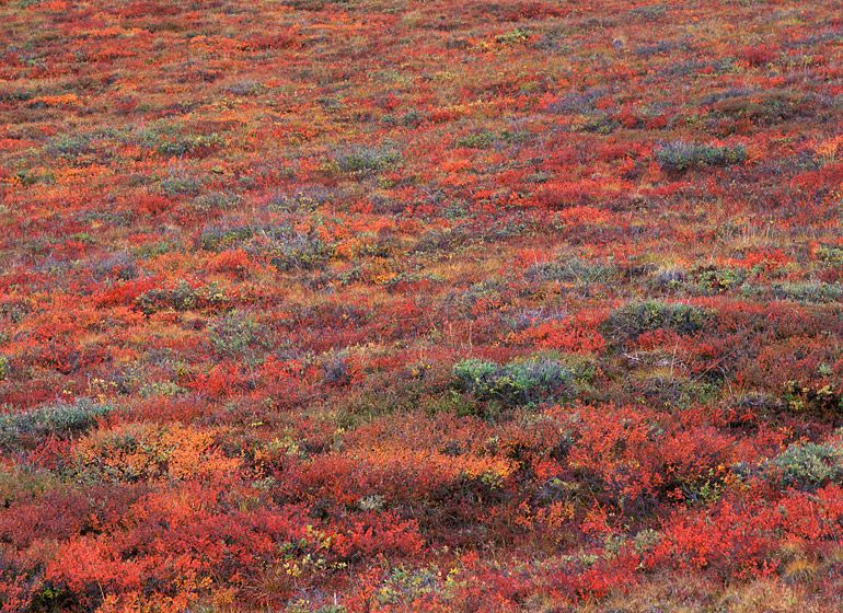 (UNTITLED)Photograph not currently available as print. For commercial use and reproduction rights contact our studios at peace2rth@mac.com. (UNTITLED)