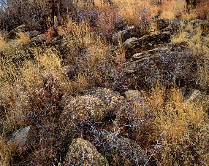 STONED (1),  199220” x 24”/$95024” x 30”/$1,50030” x 40”/$2,250The signed, limited edition of 27, includes all of the above sizes.  Print will be shipped directly to client's framer.7 prints are available at 48" x 65". Current price: $5,500. STONED (1) ,  1992