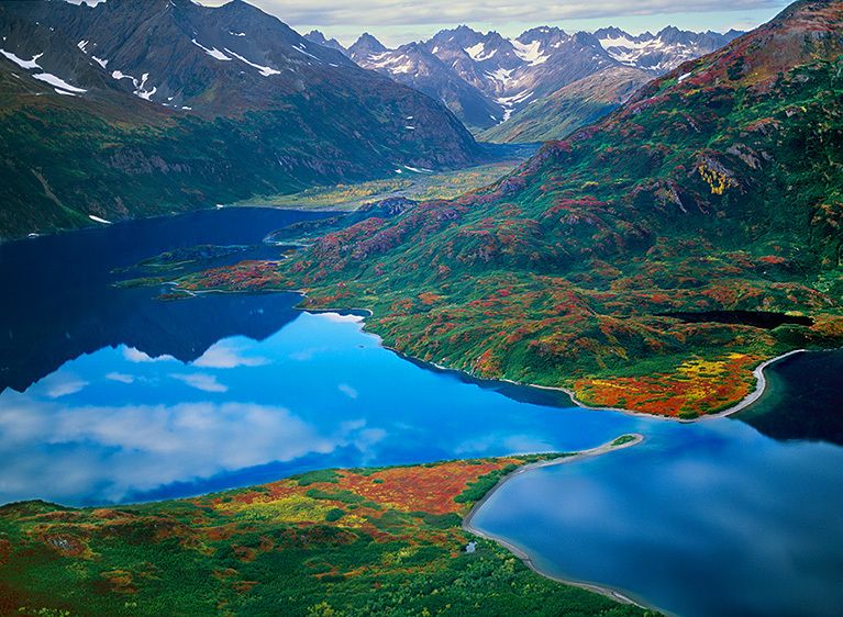 PURE WATER, UNTOUCHED HABITAT, 2001