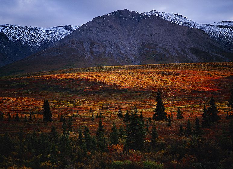 SUNRISE, OUTER RANGE, 1994
