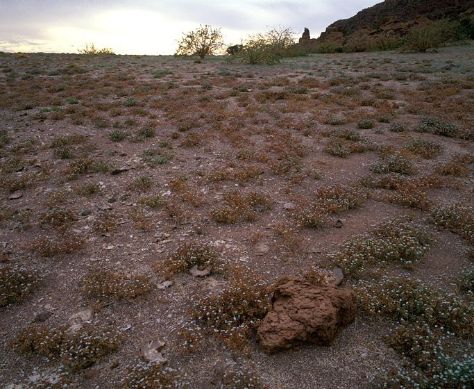 (UNTITLED)Photograph not currently available as print.  For commercial use and reproduction rights contact our studios at peace2rth@mac.com. (UNTITLED)