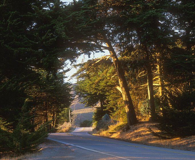 (UNTITLED)Photograph not currently available as print.  For commercial use and reproduction rights contact our studios at peace2rth@mac.com. (UNTITLED)