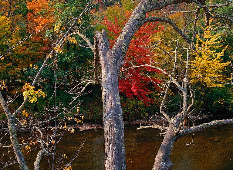 ADIRONDACK AFTERNOON, 200120" x 24" / $1,50024" x 30" / $2,25030" x 40" / $3,500The signed, limited edition of 33, includes all of the above sizes. Print will be shipped directly to client's framer. ADIRONDACK AFTERNOON, 2001